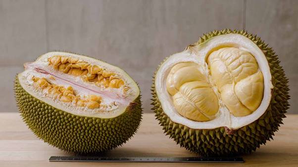 tropical fruit comparison