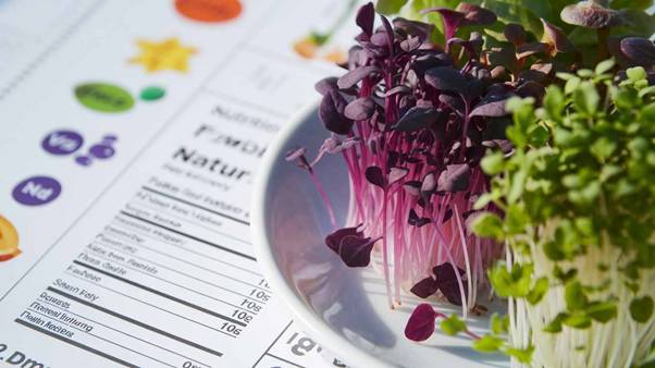 microgreens nutrition facts