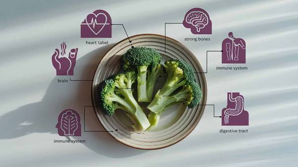 broccoli health benefits