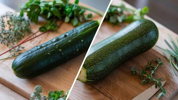 Zucchini and Cucumber