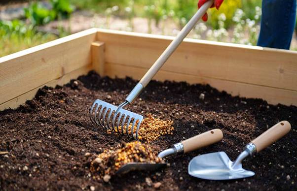 strawberry garden bed preparation