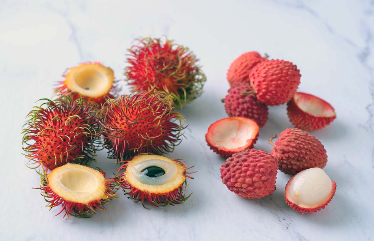 tropical fruits comparison