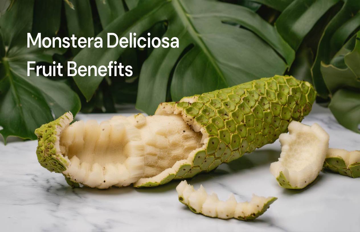 Monstera Deliciosa Fruit Benefits