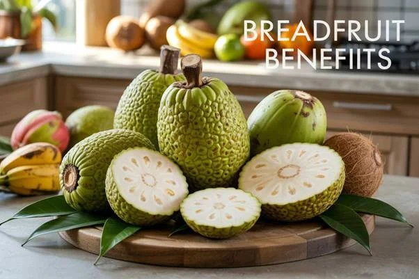 Breadfruit Benefits
